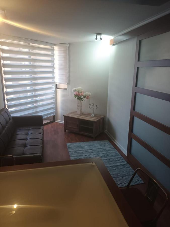 Апартаменты Acogedor Y Renovado Departamento Сантьяго Экстерьер фото